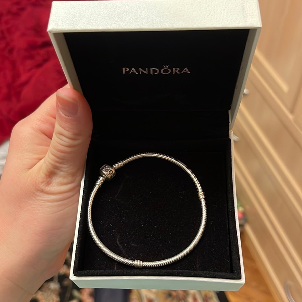 Pandora charm bracelet